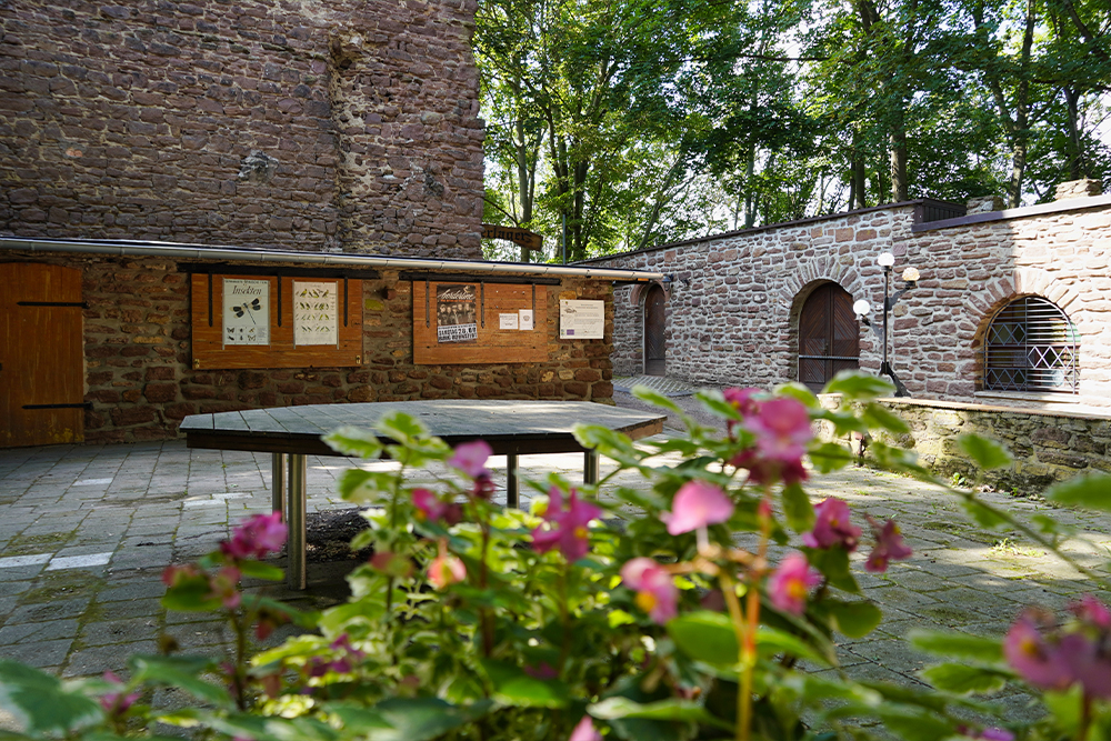 Auf Burg Bornstedt finden verschiedene Veranstaltungen statt ©SMG